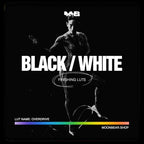 BLACK & WHITE LUTs