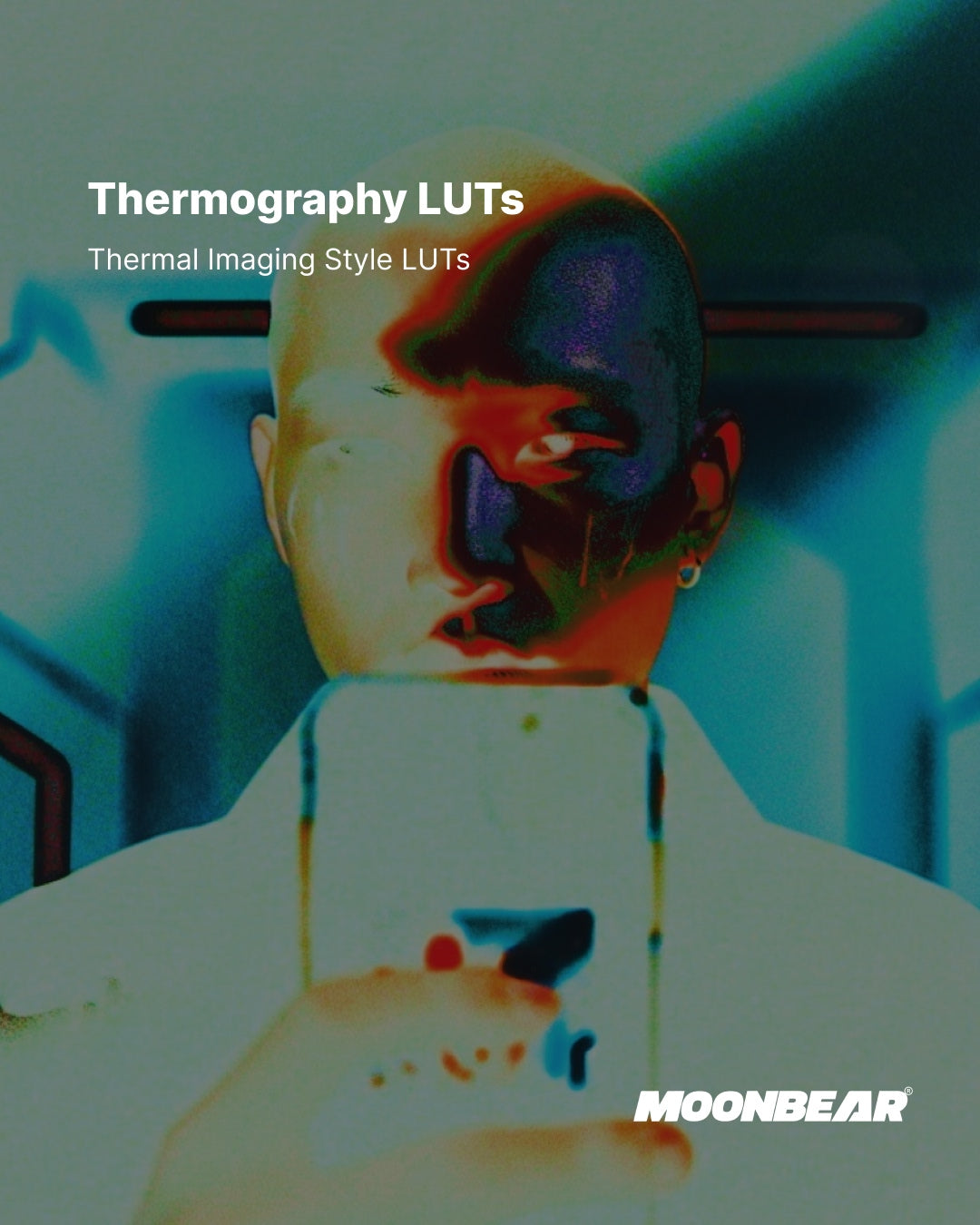 Thermography LUTs