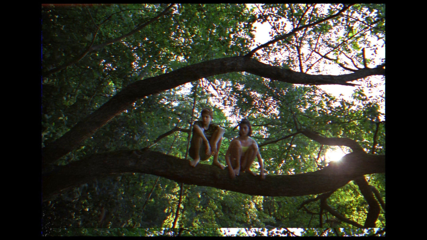 Analogue (Final Cut Pro)