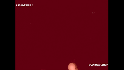 ARCHIVE FILM 2 - moonbear.shop