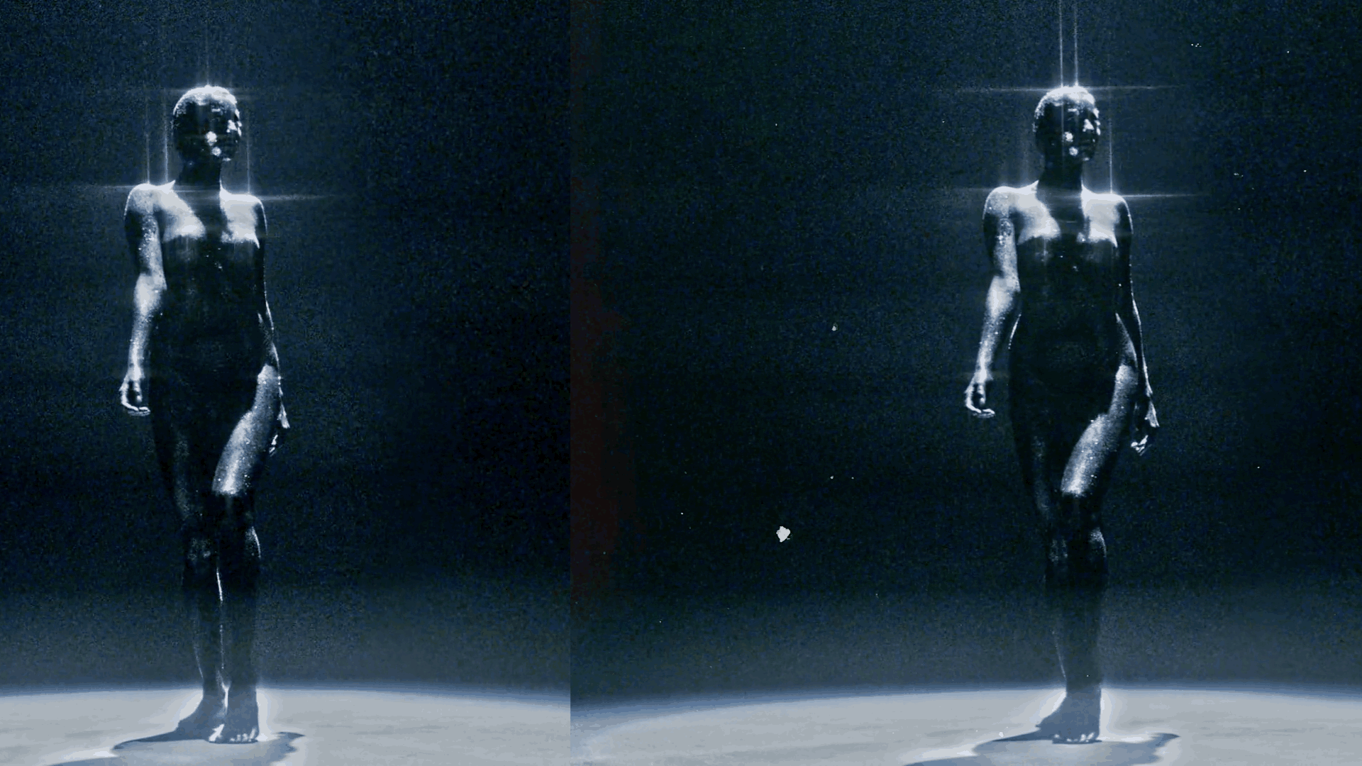 ARCHIVE FILM 2 - moonbear.shop