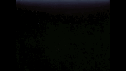 ARCHIVE FILM 2 - moonbear.shop